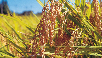 EVO真人(中国)官方网站