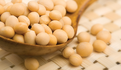 EVO真人(中国)官方网站