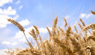 EVO真人(中国)官方网站