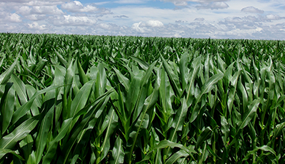 EVO真人(中国)官方网站