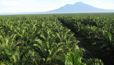 EVO真人(中国)官方网站