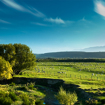 EVO真人(中国)官方网站