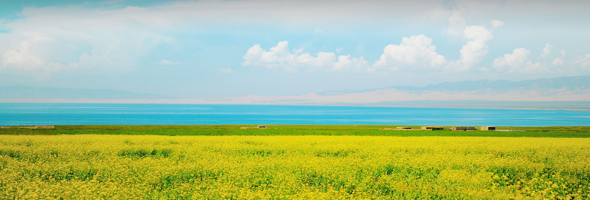 EVO真人(中国)官方网站