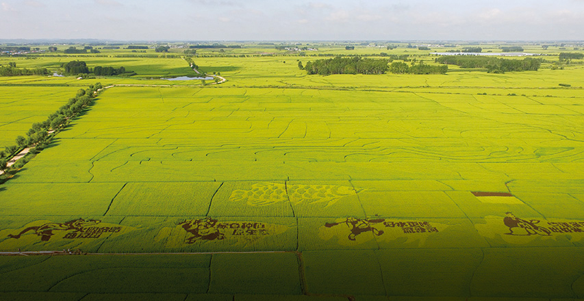 EVO真人(中国)官方网站