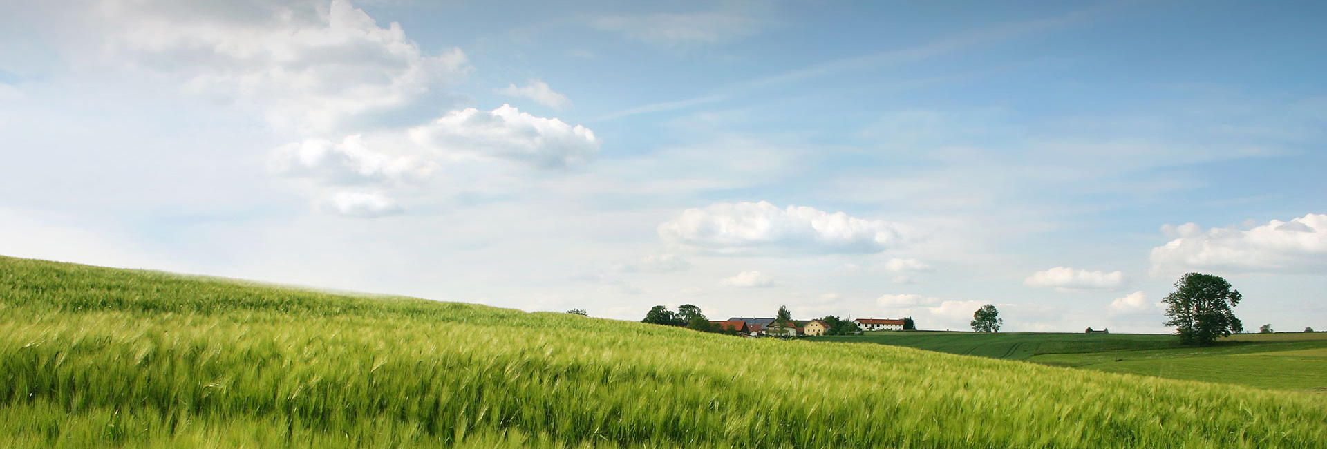 EVO真人(中国)官方网站