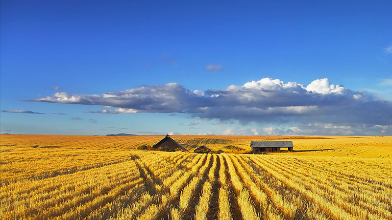 EVO真人(中国)官方网站