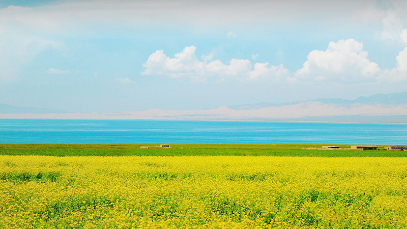 EVO真人(中国)官方网站