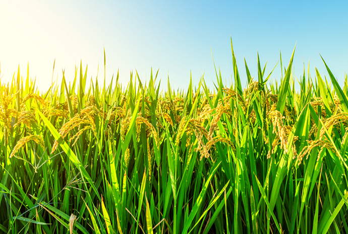 EVO真人(中国)官方网站