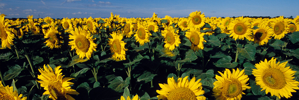 EVO真人(中国)官方网站