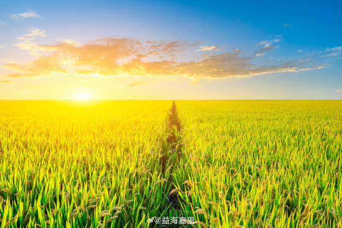 EVO真人(中国)官方网站